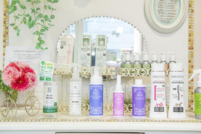 ワンちゃんの健康とかわいさを両立する自然派ケア