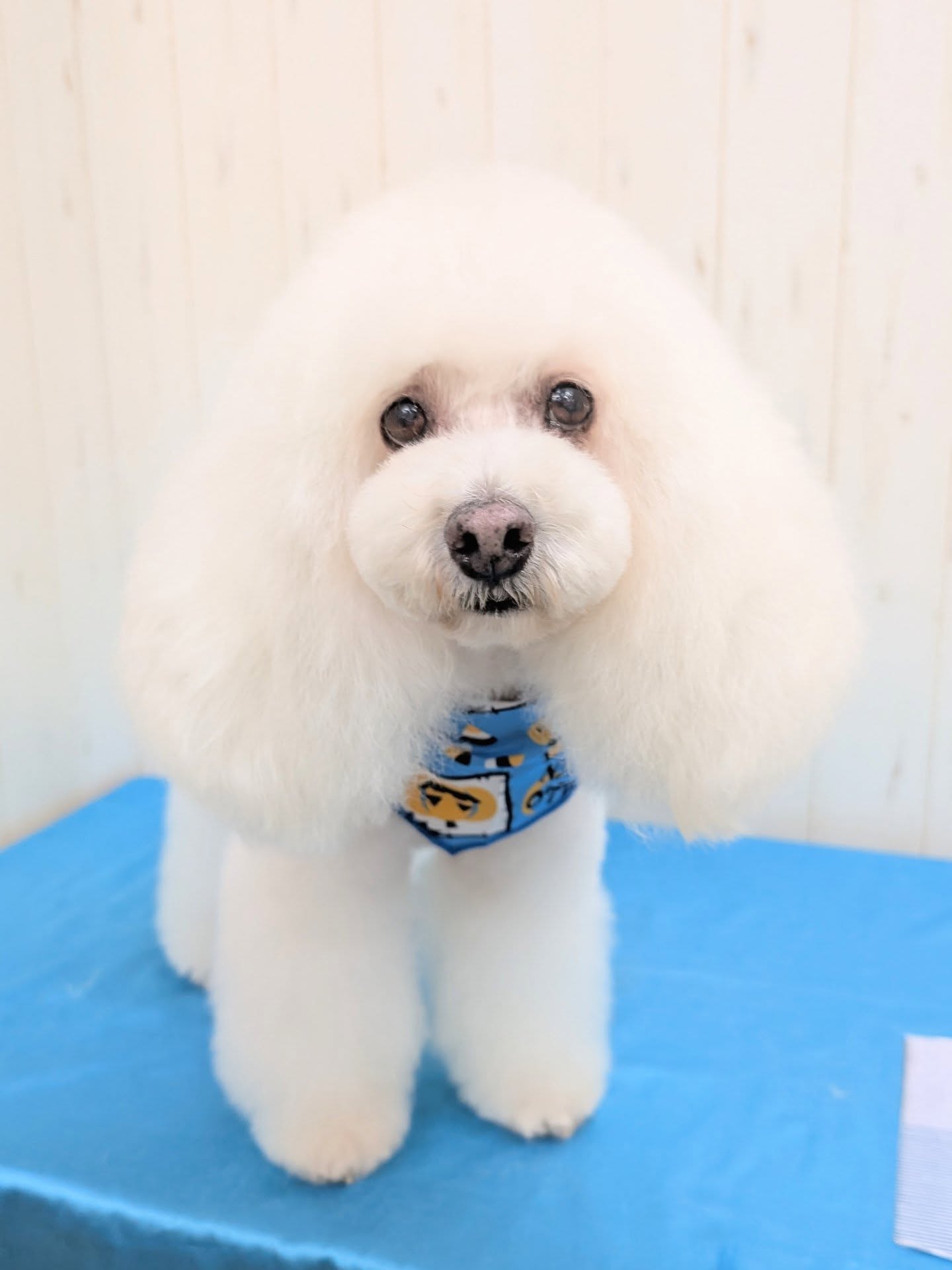 ギャラリー画像1