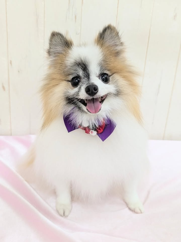 ギャラリー画像2