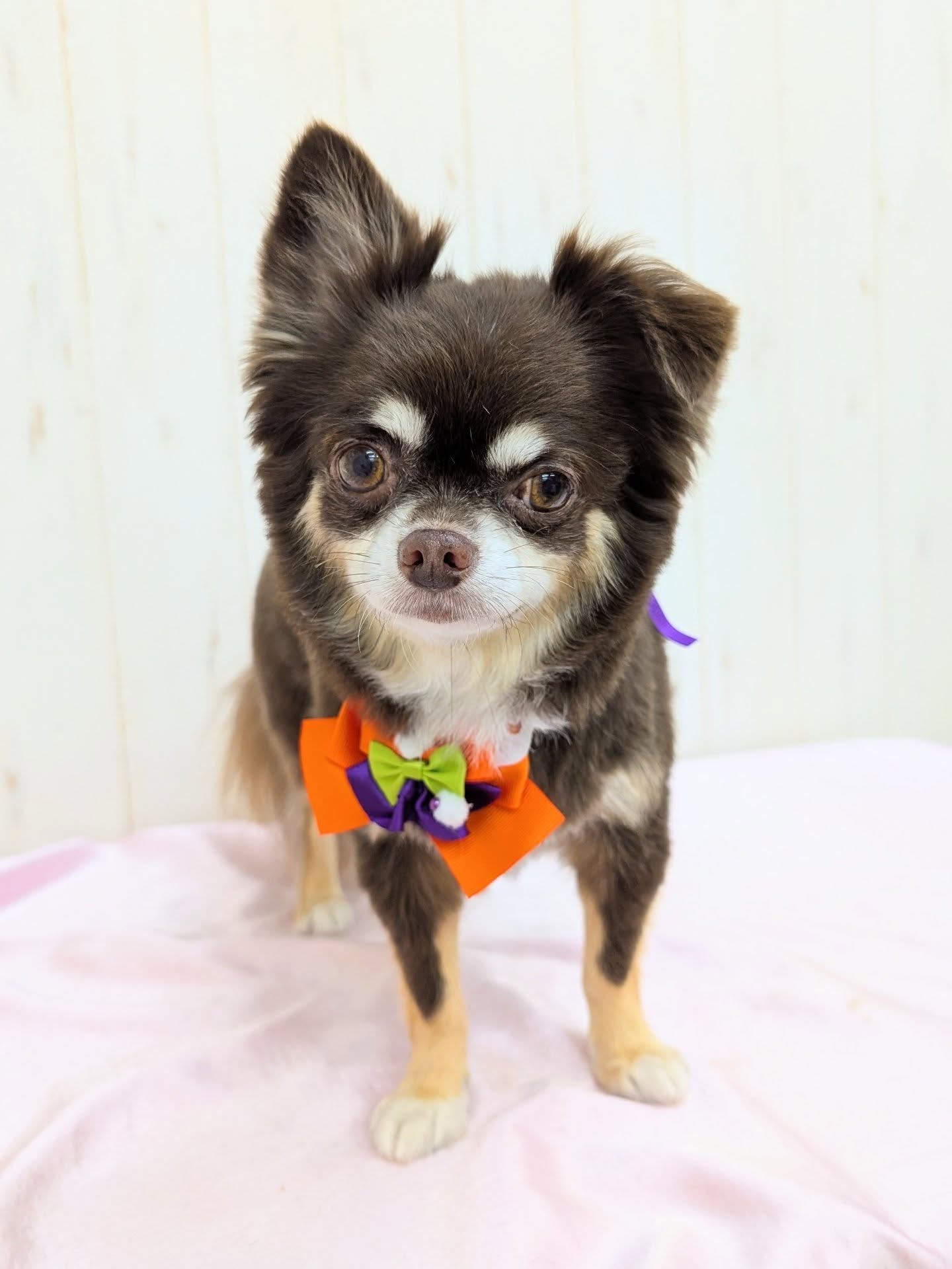 ギャラリー画像3