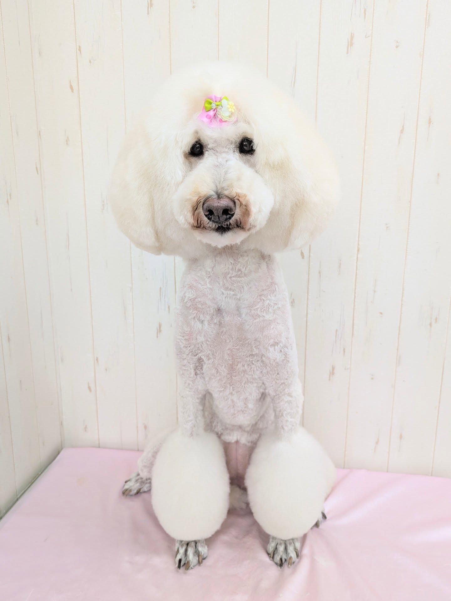 ギャラリー画像4