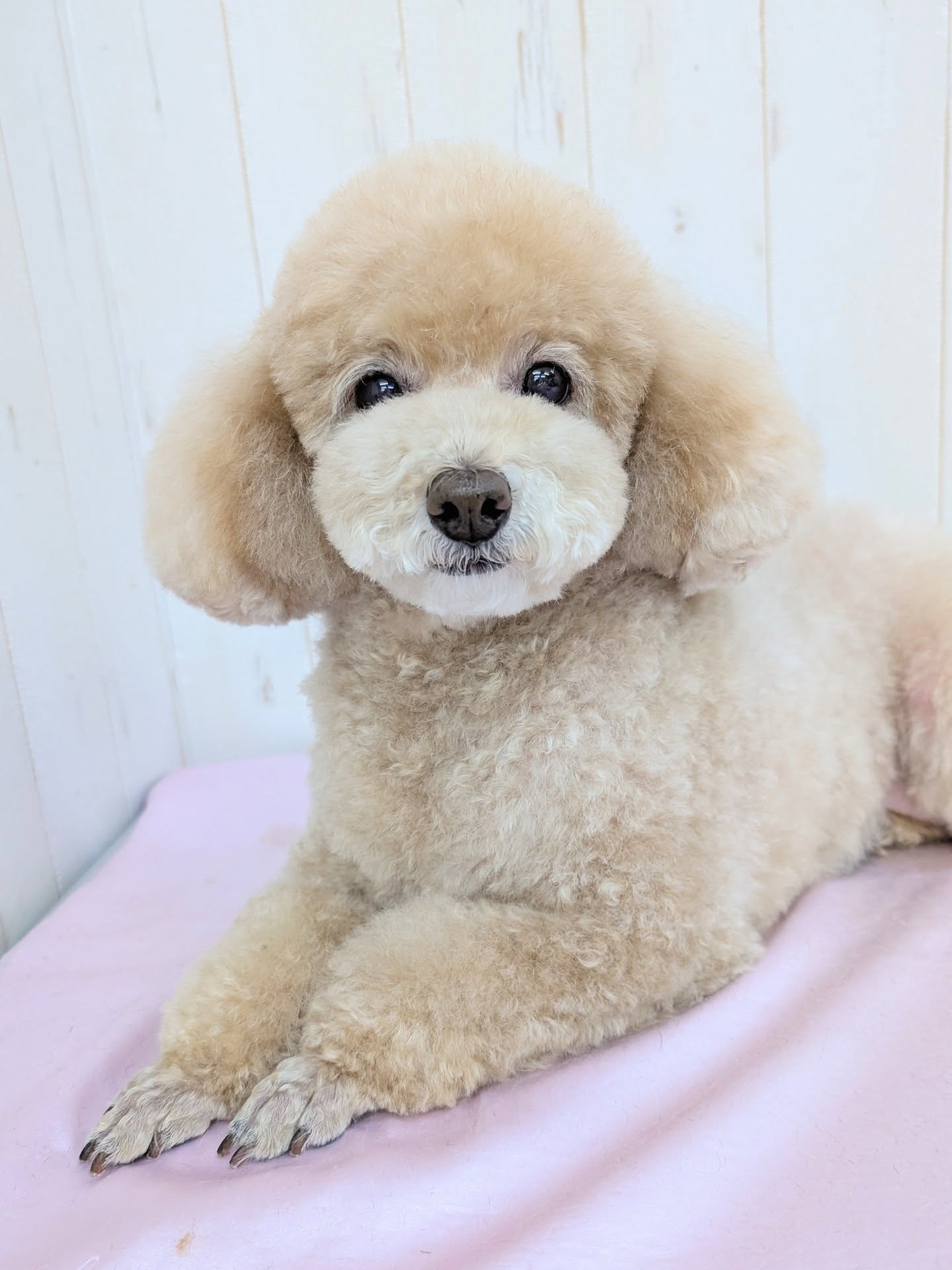 ギャラリー画像6