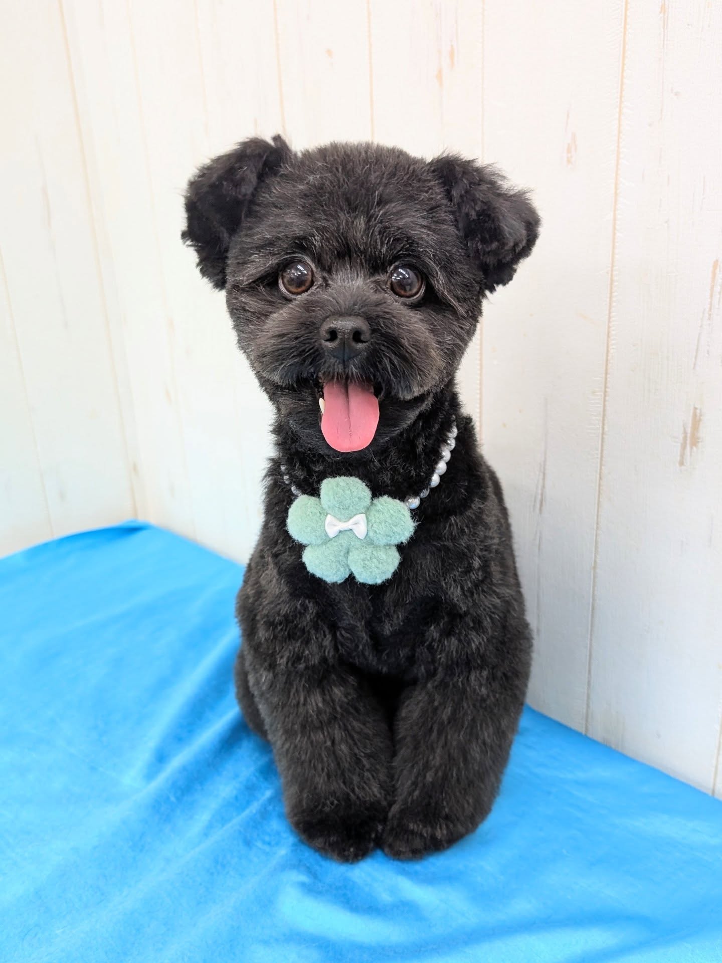 ギャラリー画像7