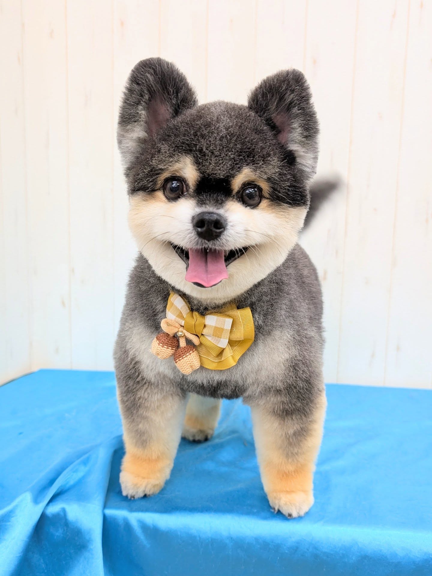 ギャラリー画像9