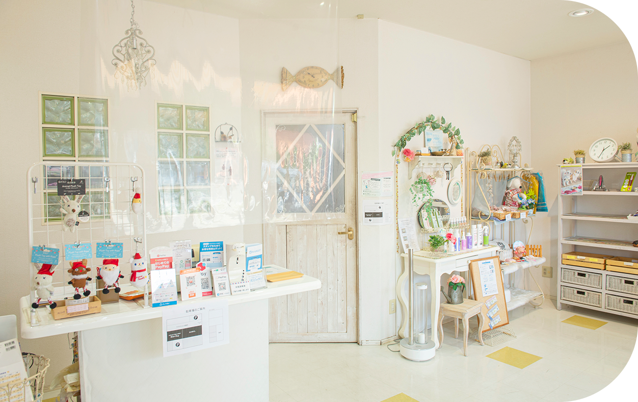 natural dog salon Wish Dog