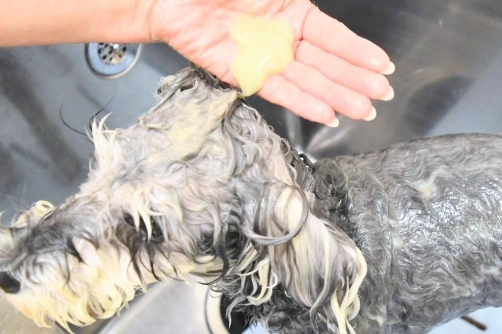 天然ミネラルの力で、すべすべの被毛へ