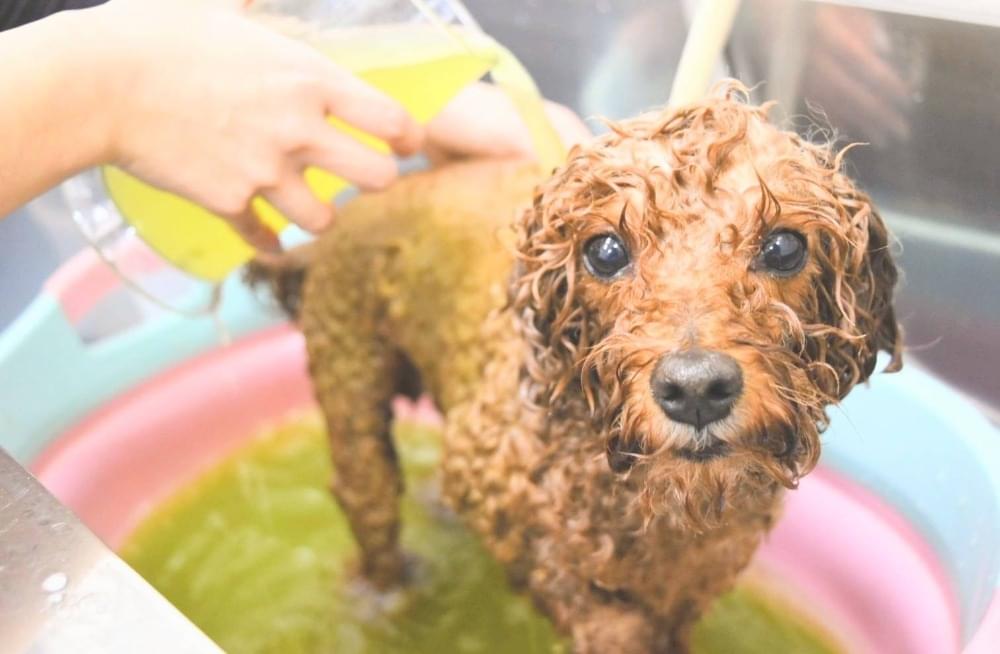 やさしく癒す、ハーブ湯のリラックスケア