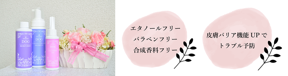 VETシリーズスキンケアコース