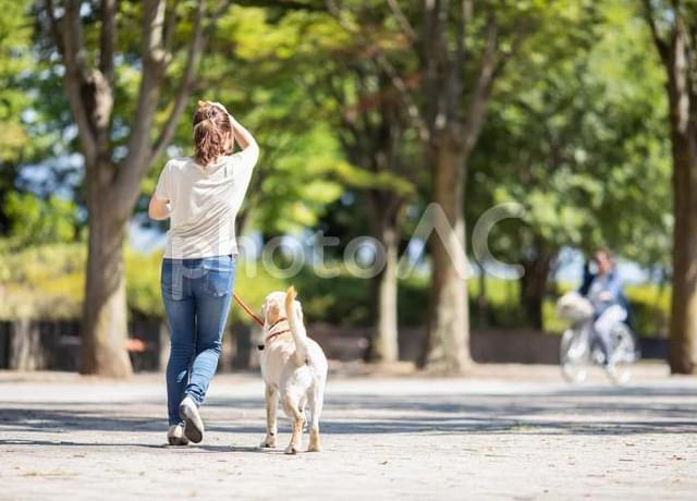 朝夕の散歩付き
