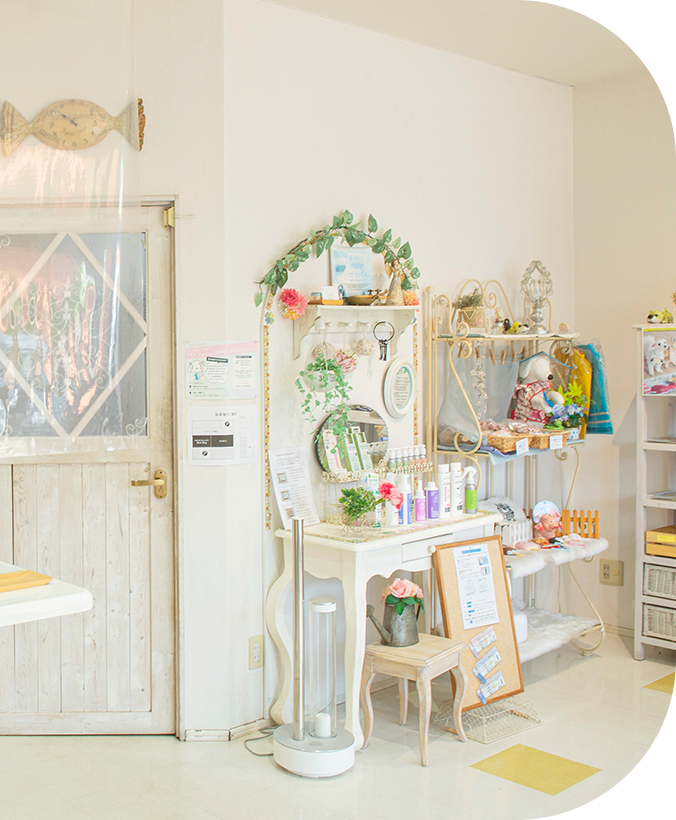 natural dog salon Wish Dog