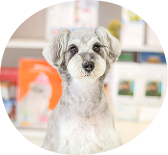 個性を叶えるトリミング技術