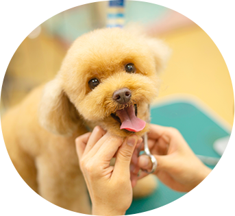 毎回の健康チェックで安心できる生活を